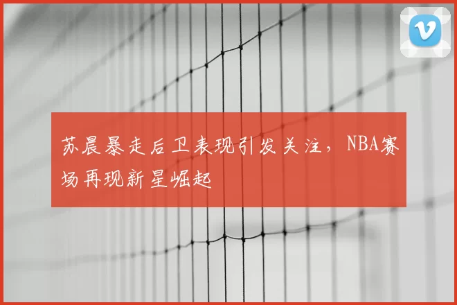 苏晨暴走后卫表现引发关注,NBA赛场再现新星崛起