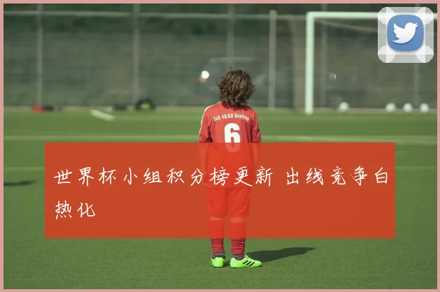 世界杯小组积分榜更新 出线竞争白热化