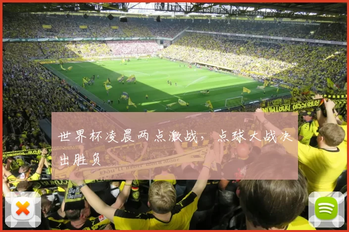 世界杯凌晨两点激战,点球大战决出胜负