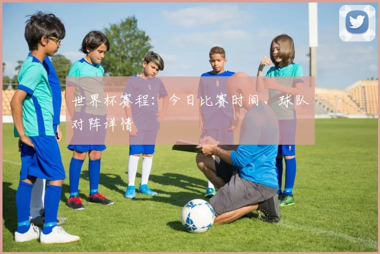 世界杯赛程：今日比赛时间、球队对阵详情