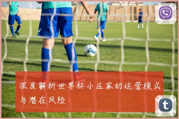 深度解析世界杯小庄家的运营模式与潜在风险