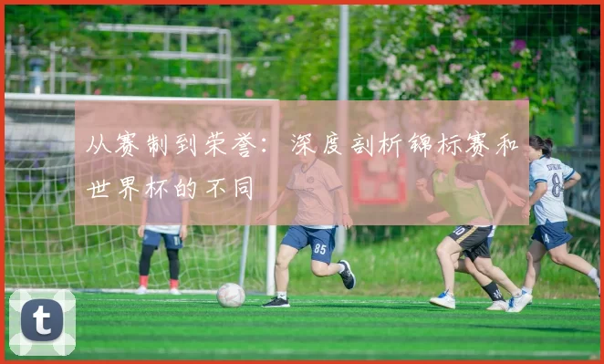 从赛制到荣誉：深度剖析锦标赛和世界杯的不同
