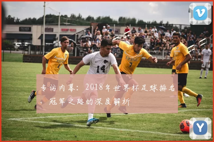 专访内幕：2018年世界杯足球排名，冠军之路的深度解析