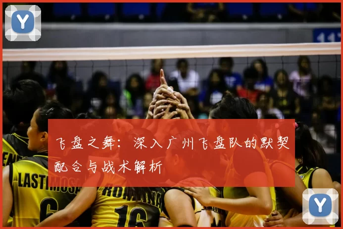 飞盘之舞:深入广州飞盘队的默契配合与战术解析