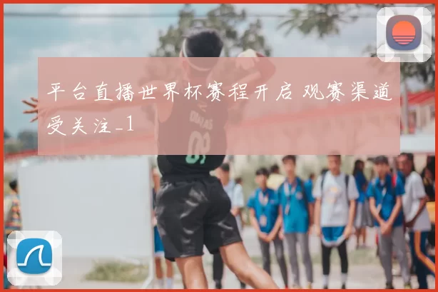 平台直播世界杯赛程开启 观赛渠道受关注_1