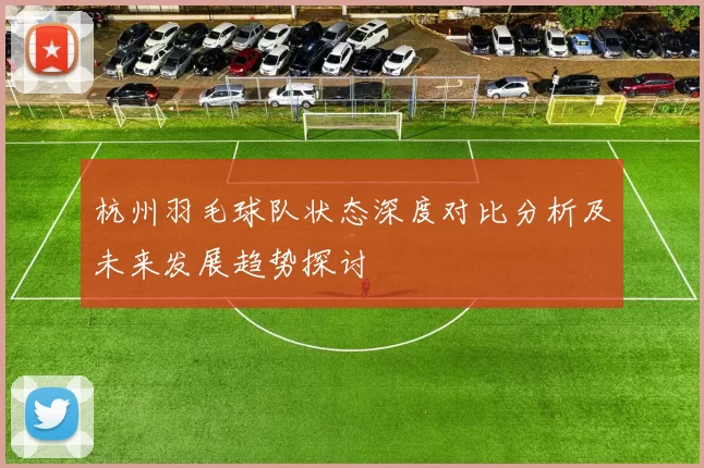 杭州羽毛球队状态深度对比分析及未来发展趋势探讨