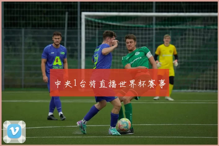 中央1台将直播世界杯赛事