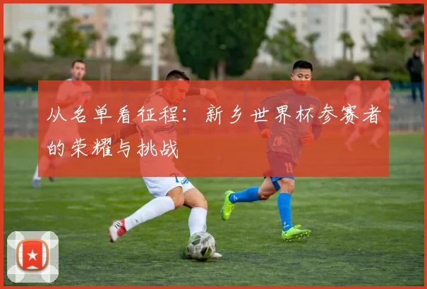 从名单看征程:新乡世界杯参赛者的荣耀与挑战