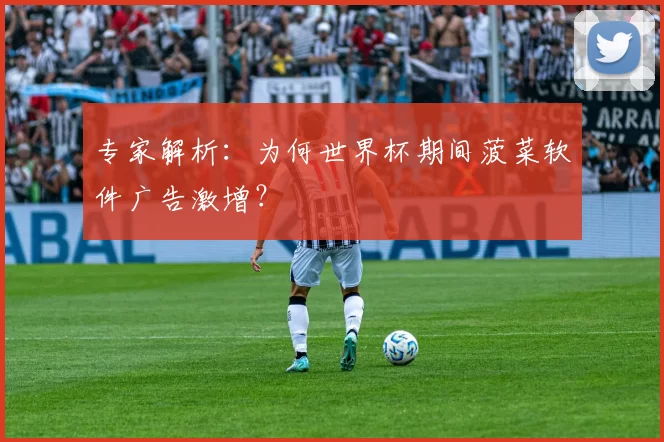 专家解析：为何世界杯期间菠菜软件广告激增？
