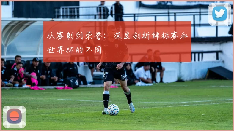 从赛制到荣誉:深度剖析锦标赛和世界杯的不同